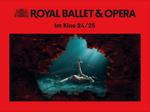 Plakatmotiv "The Royal Opera Saison 2024/25"
